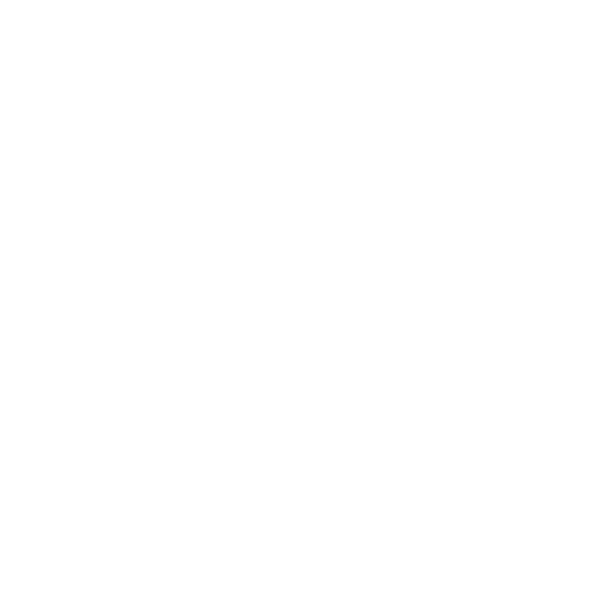 Facebook Logo White PNG