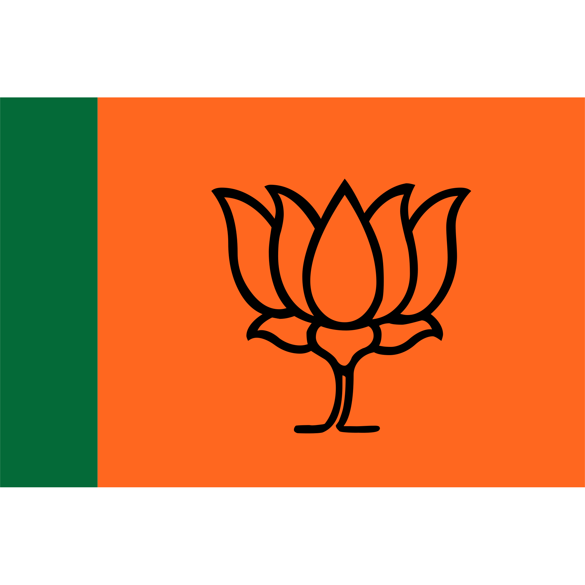 BJP Flag