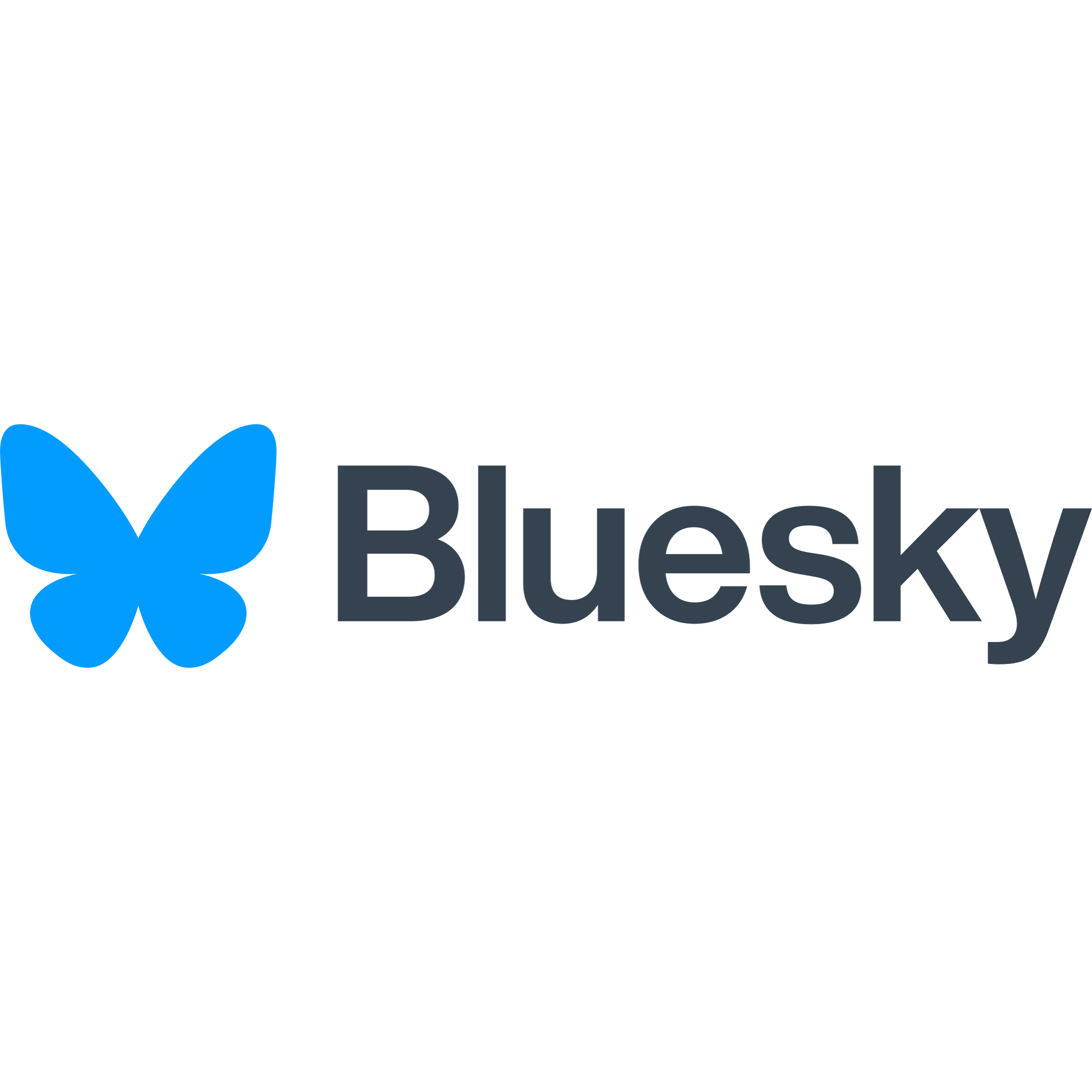 Bluesky Logo with wordmark