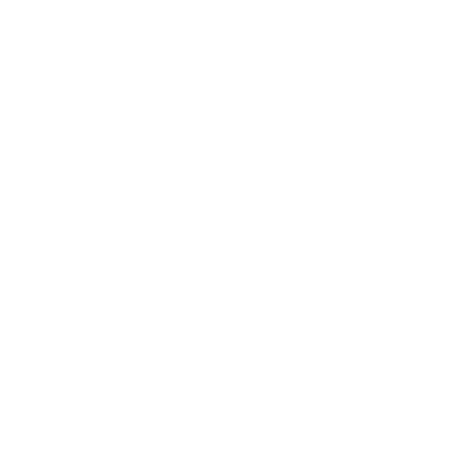 D2L White Text Logo PNG