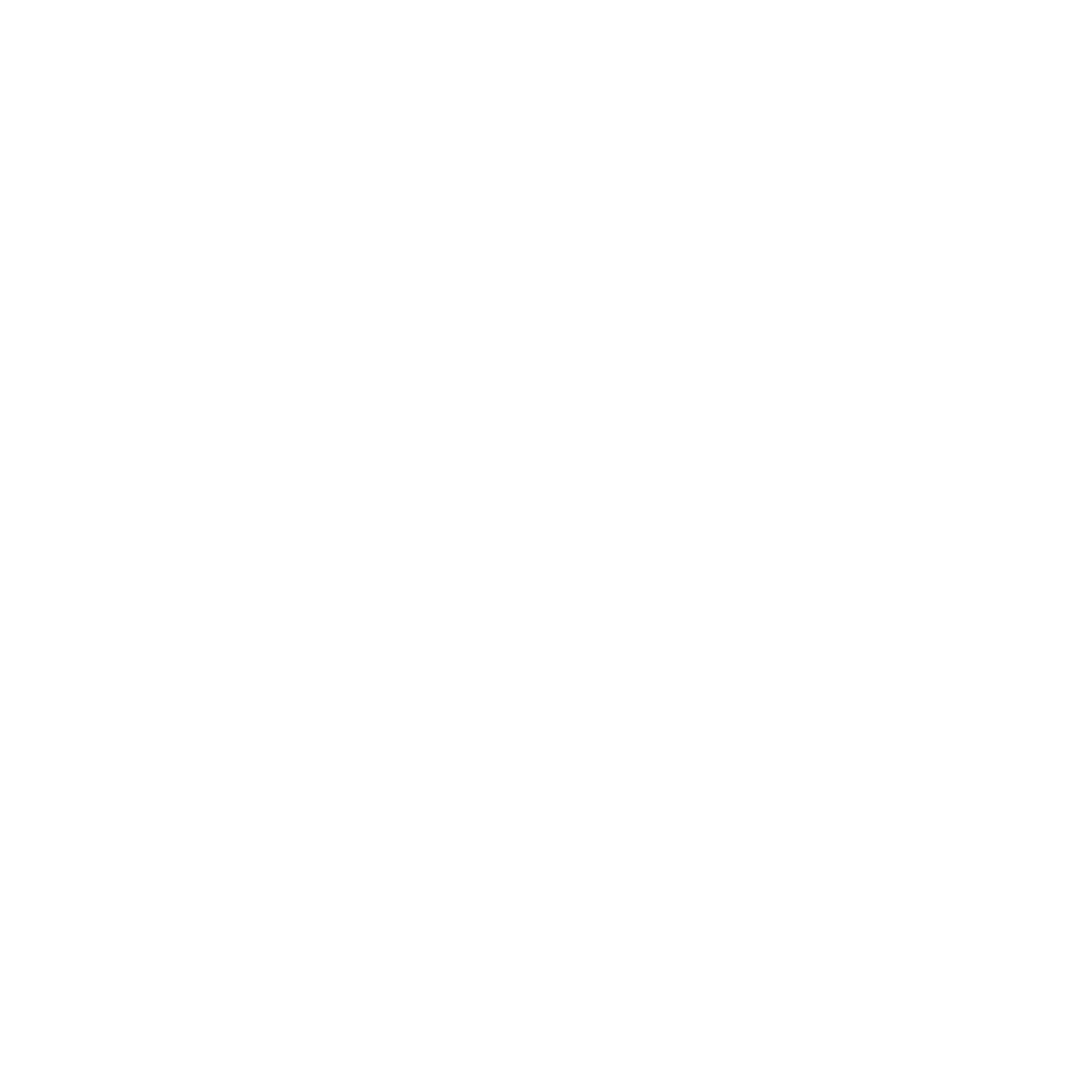 Facebook Logo White PNG