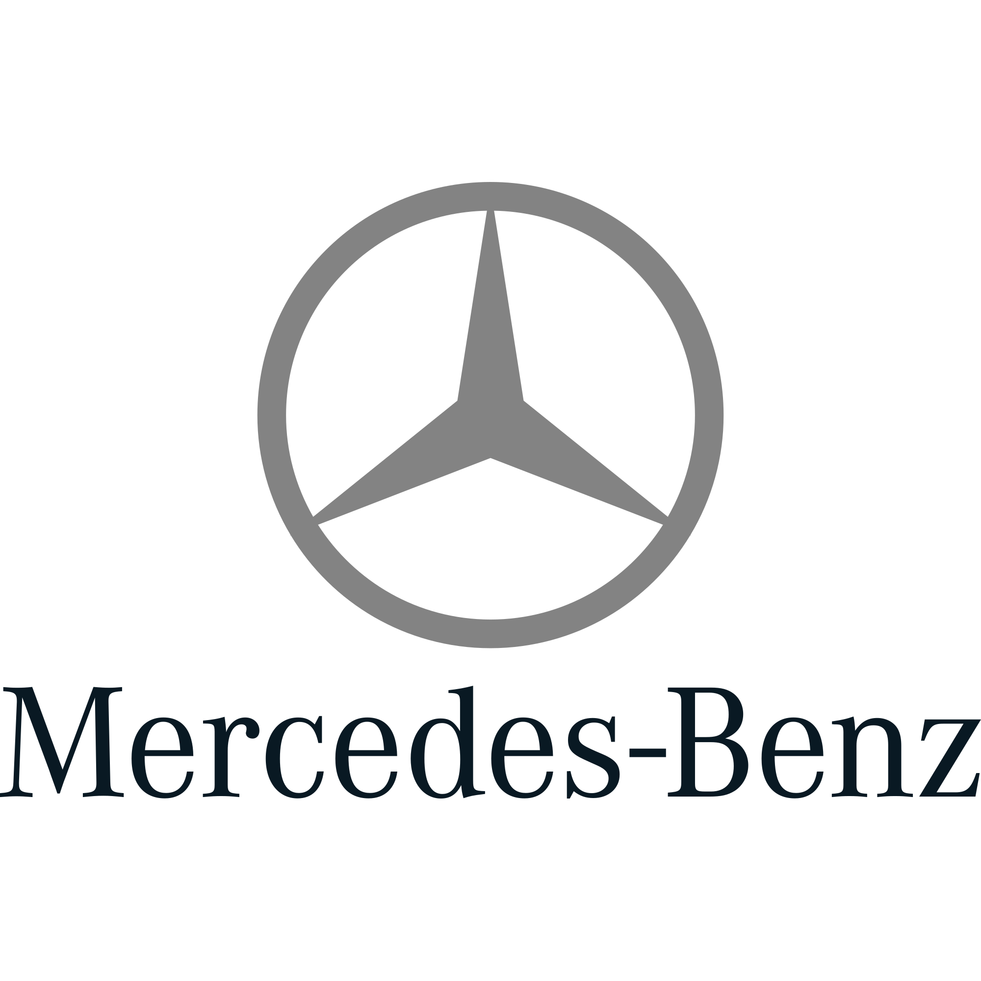 Mercedes Logo Gray 