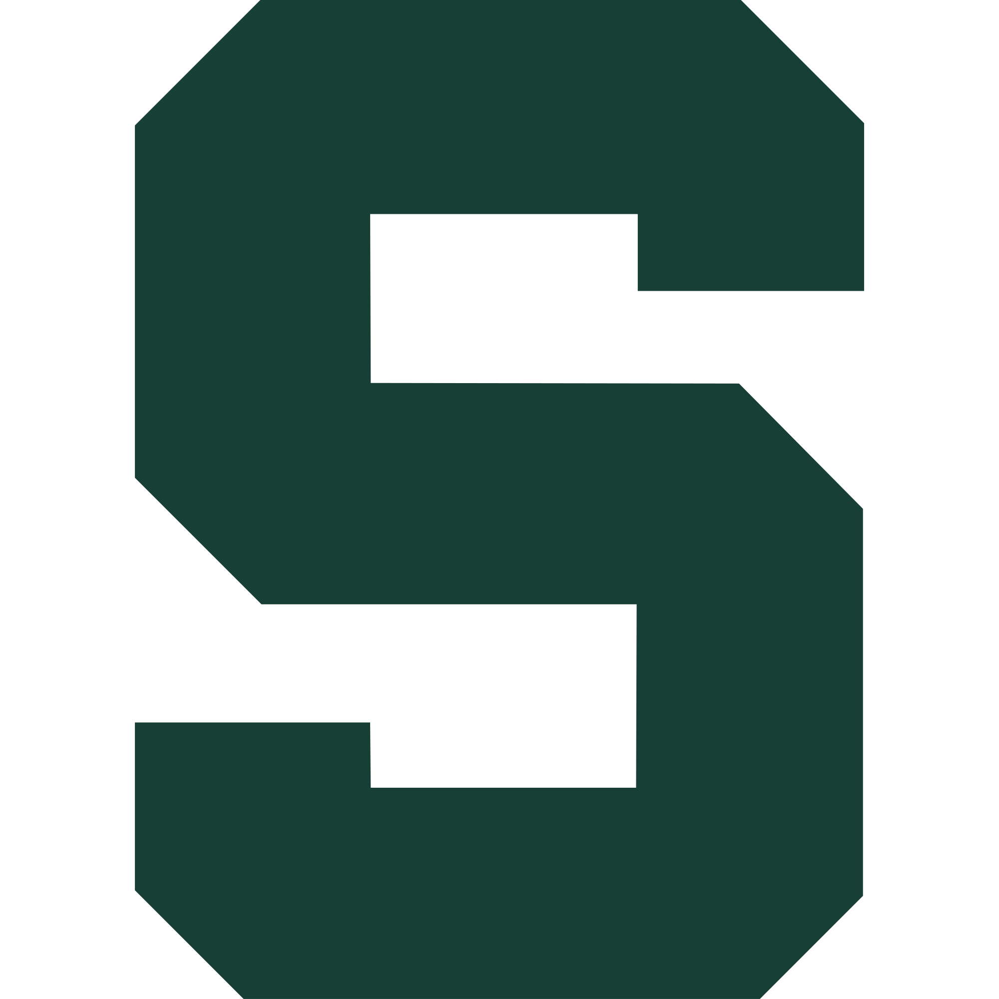 Michigan State Logo