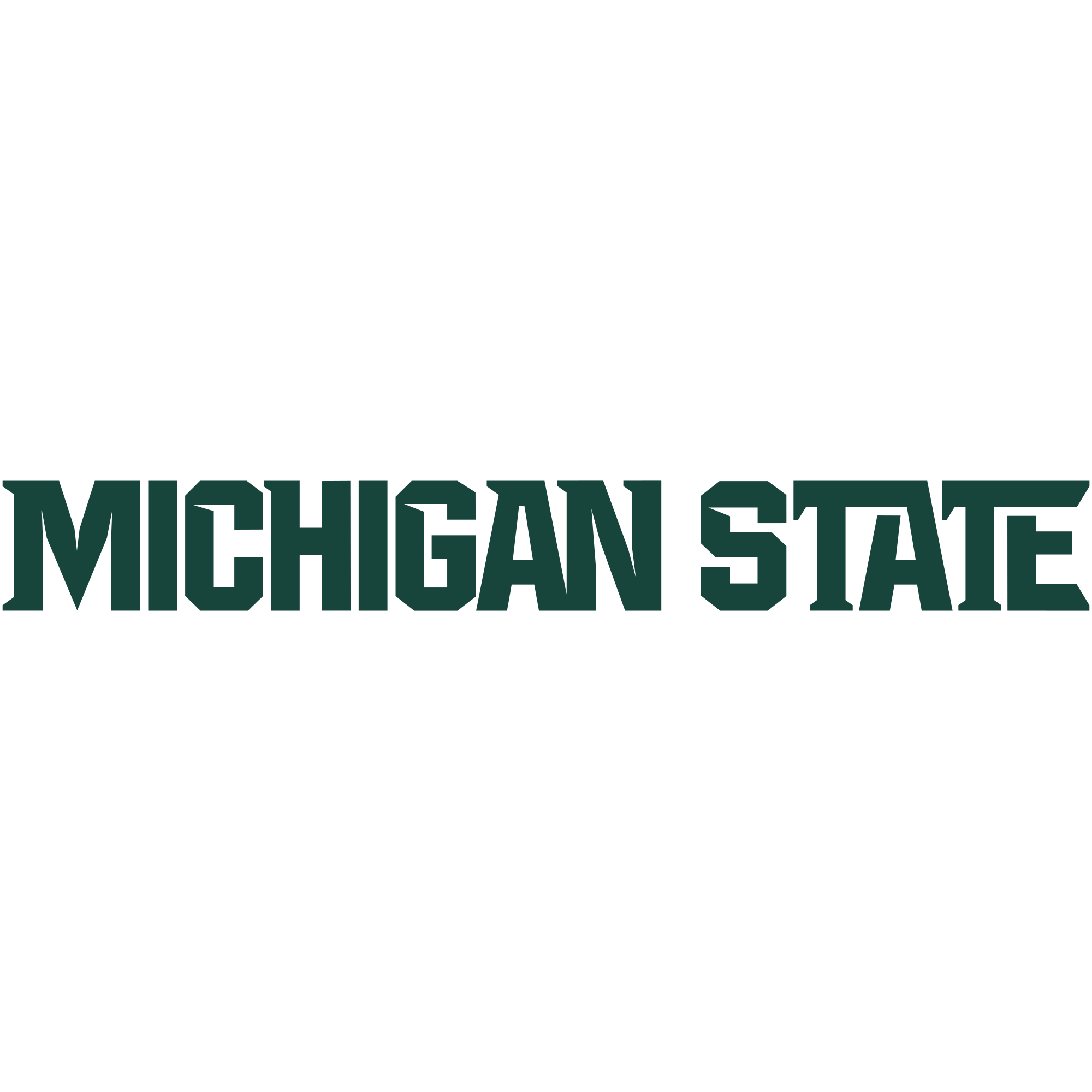 Michigan State Spartans Wordmark