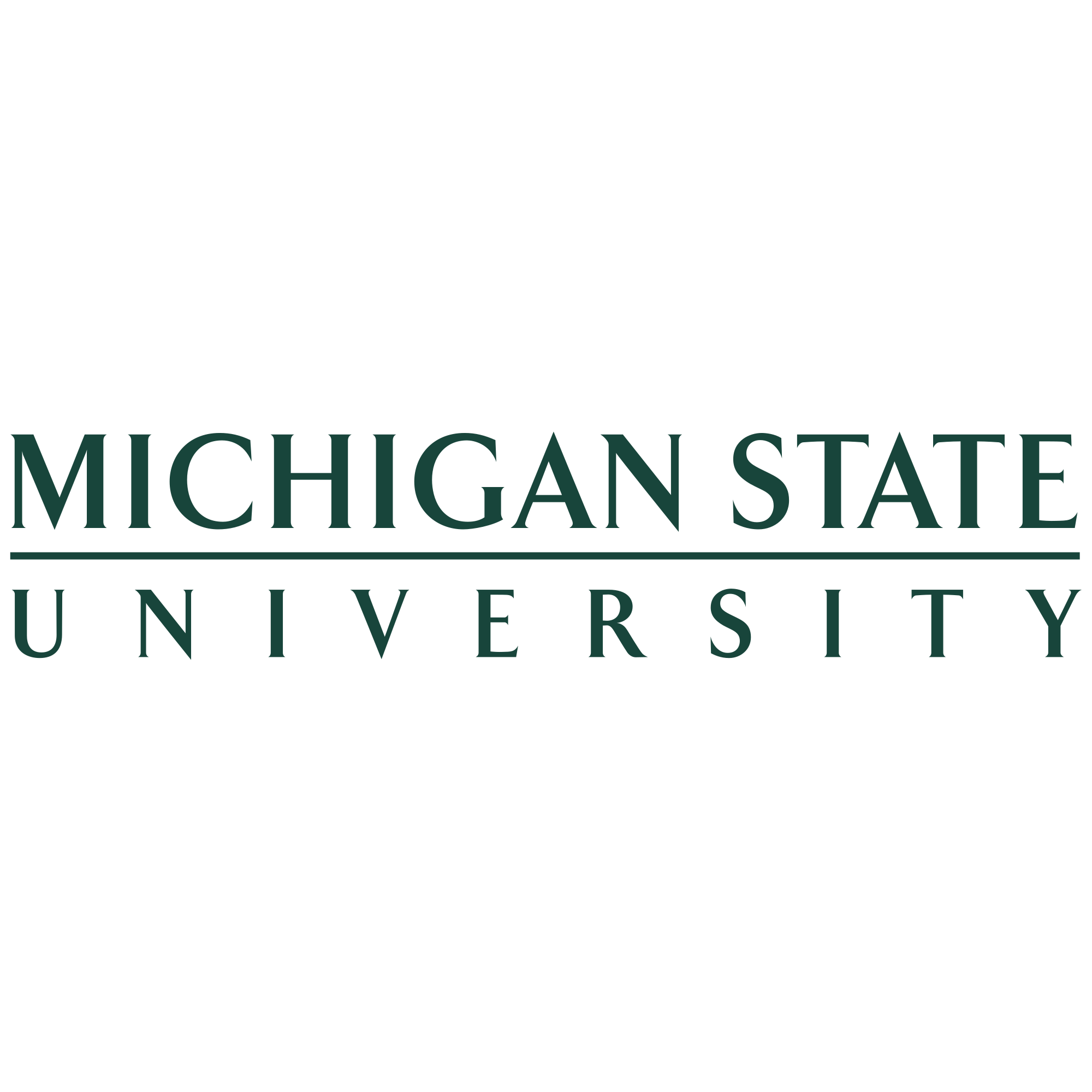 Michigan State University Wordmark