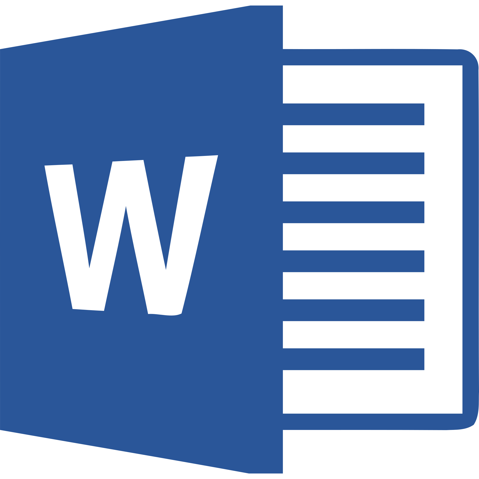 Microsoft Word