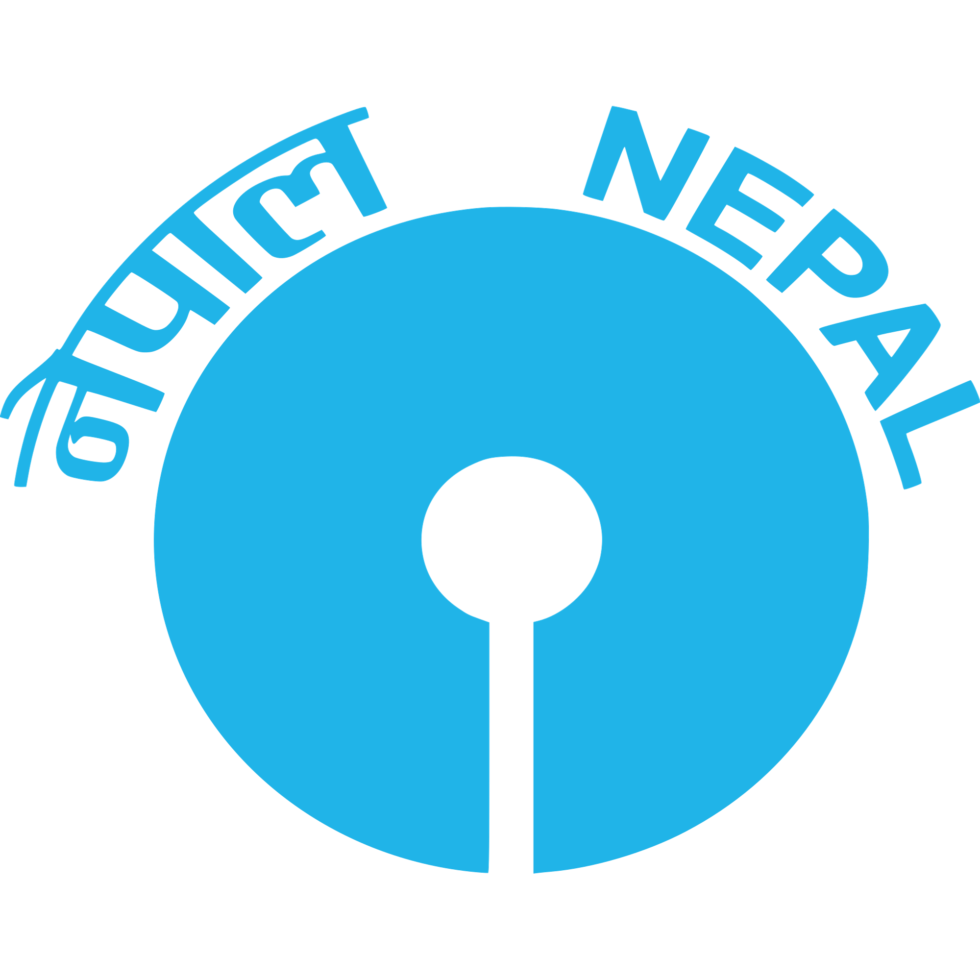 Nepal SBI Bank Logo