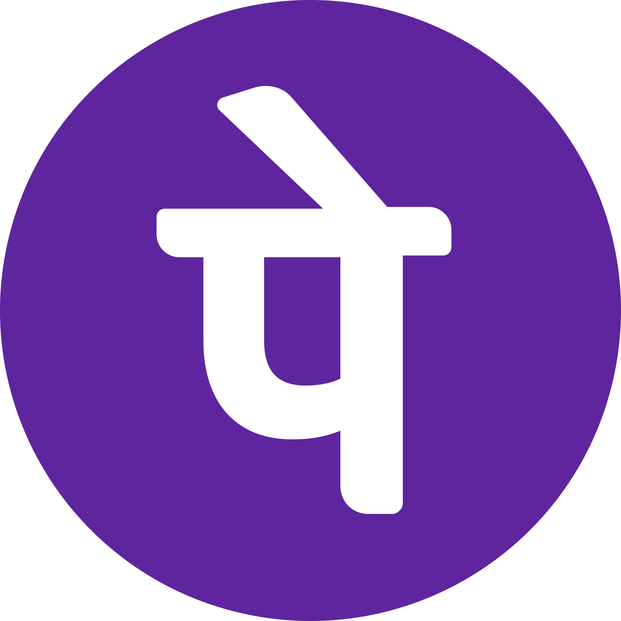 PhonePe Logo Round Icon