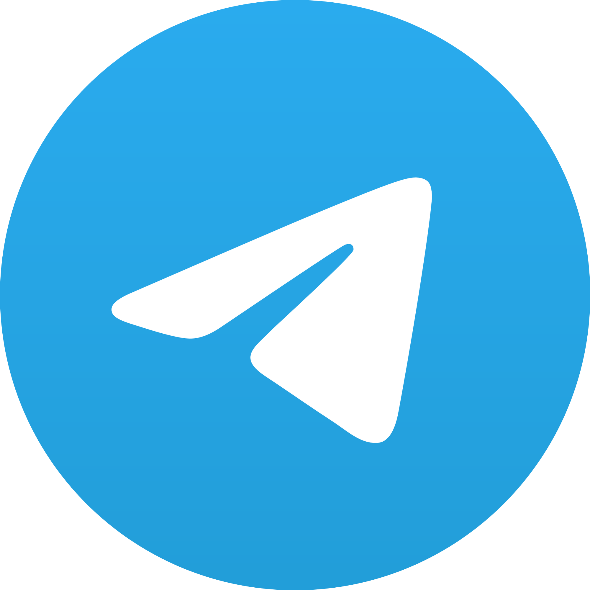 Telegram 2019 Logo