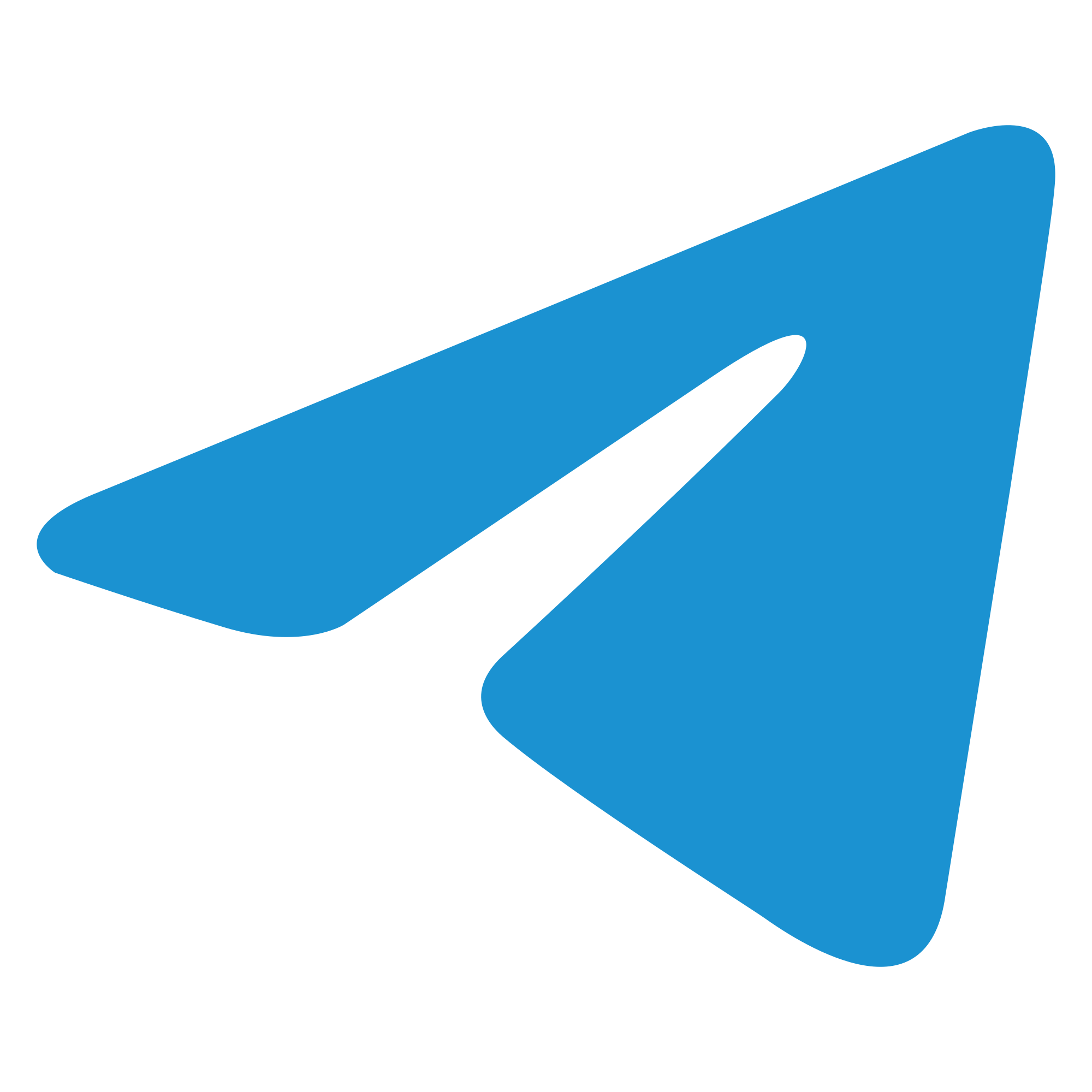 Telegram Logo Minimalistic