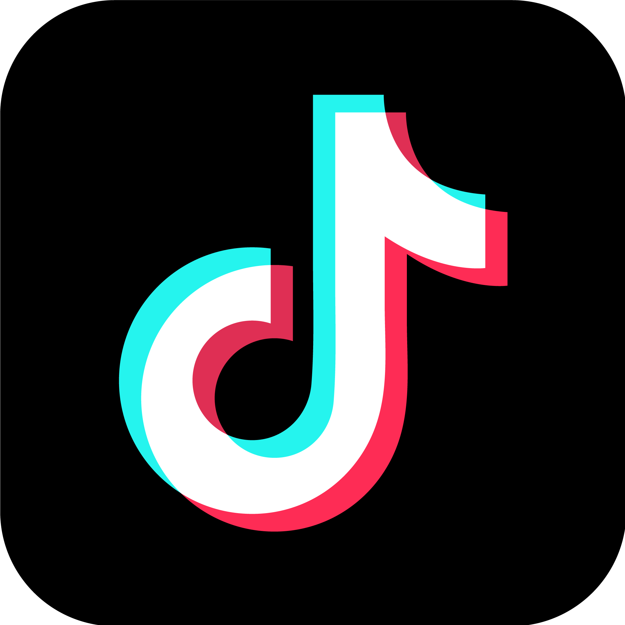 TikTok Logo Transparent