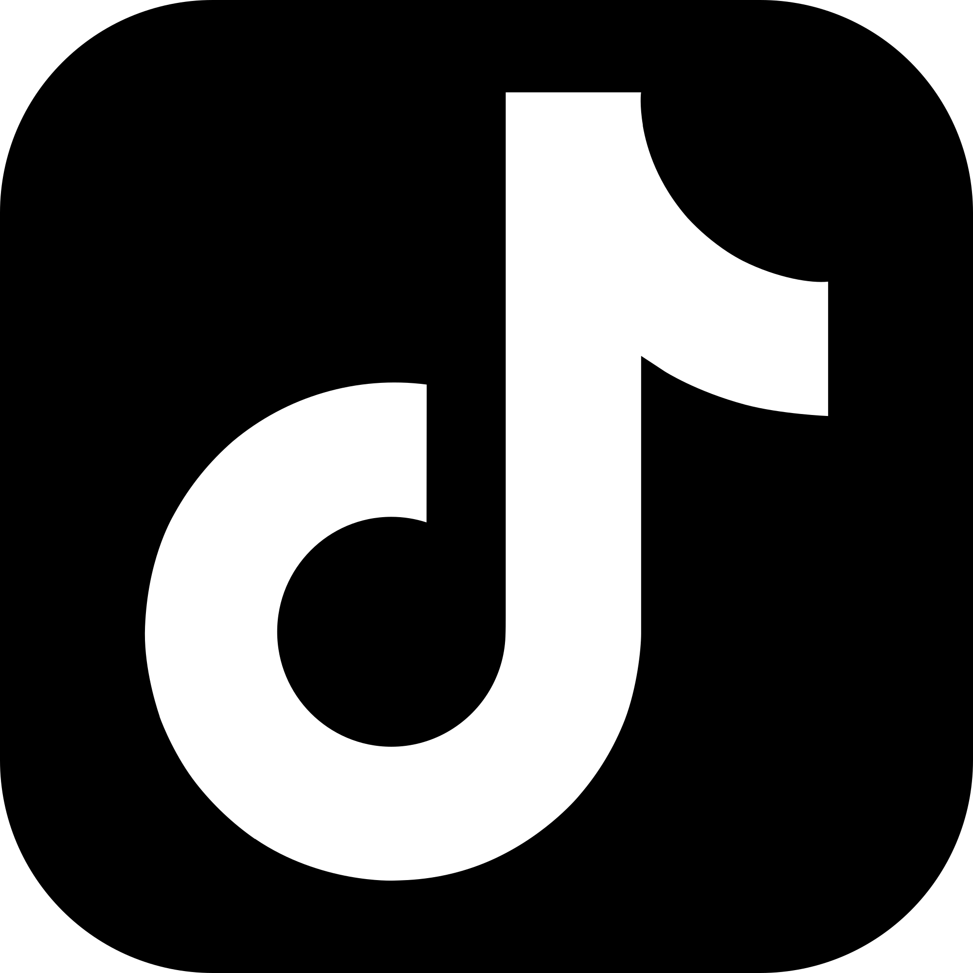 White Tiktok Logo