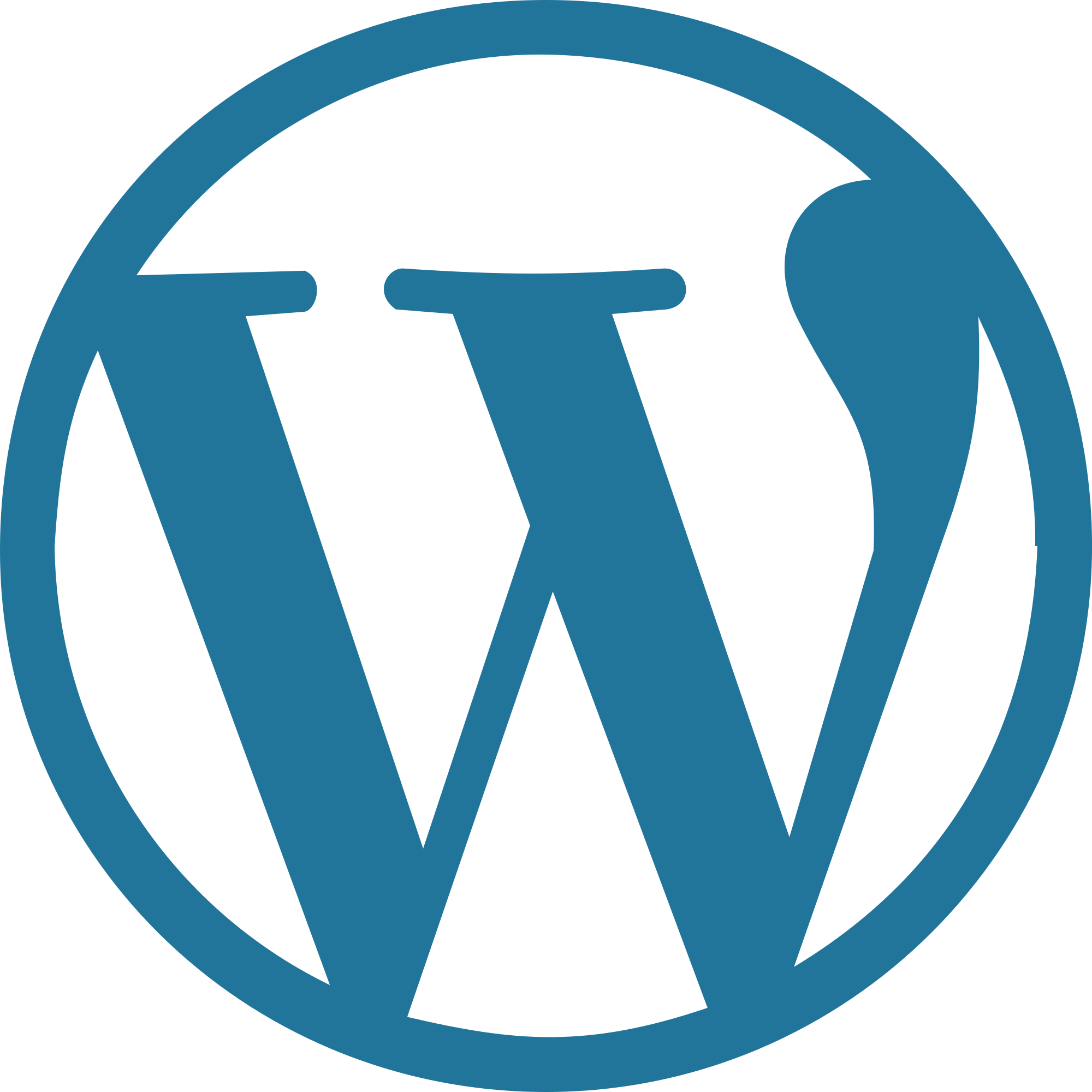 WordPress Icon